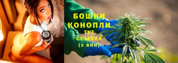 стафф Елизово