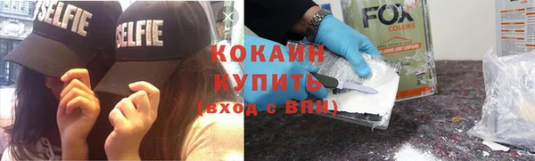 стафф Елизово
