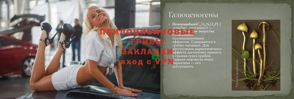 стафф Елизово