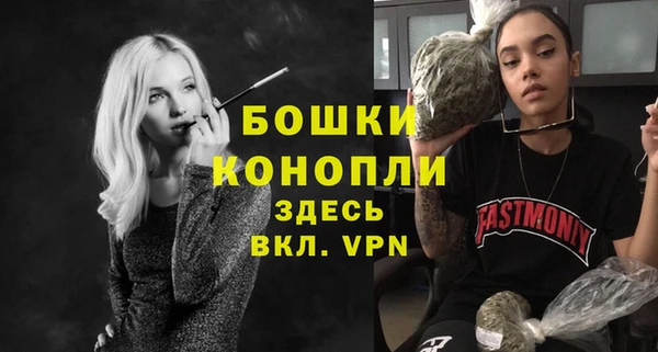стафф Елизово
