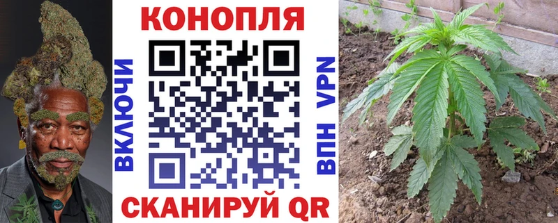 Купить закладки  Камышлов  МАРИХУАНА марихуана 